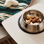 Sofitel Le Miramar Thalassa 5* Μπιαρίτζ