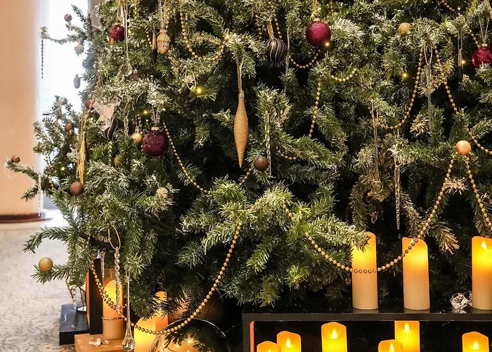 Sofitel Le Miramar Thalassa מלון